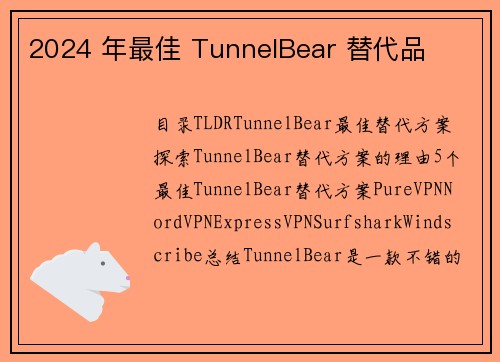 2024 年最佳 TunnelBear 替代品